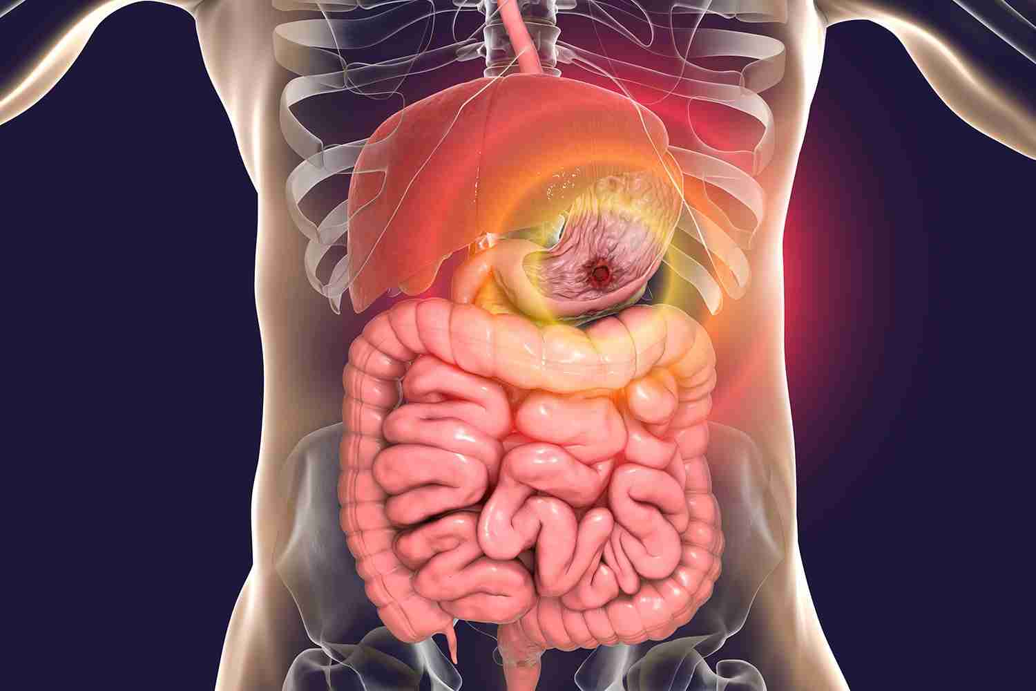 Gastroenterology